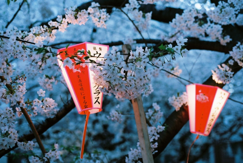 lanternes_nakameguro