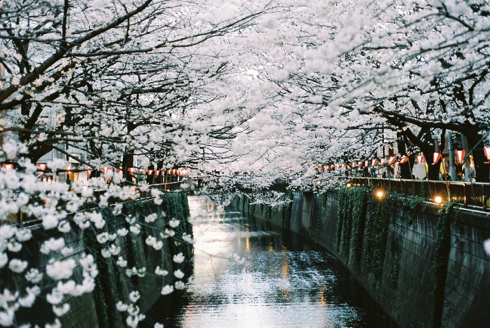 nakameguro1