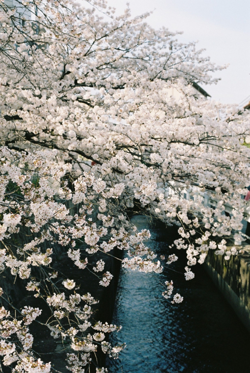 philosophy_path1