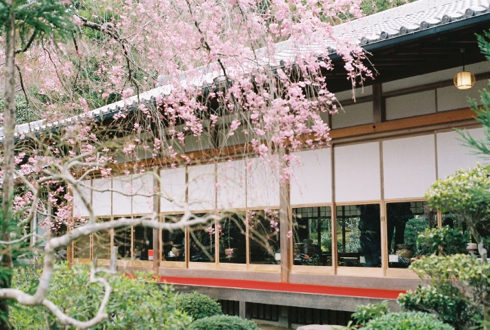ryoanji_yudofaya1