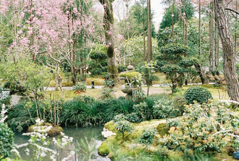 ryoanji_yudofuya_garden